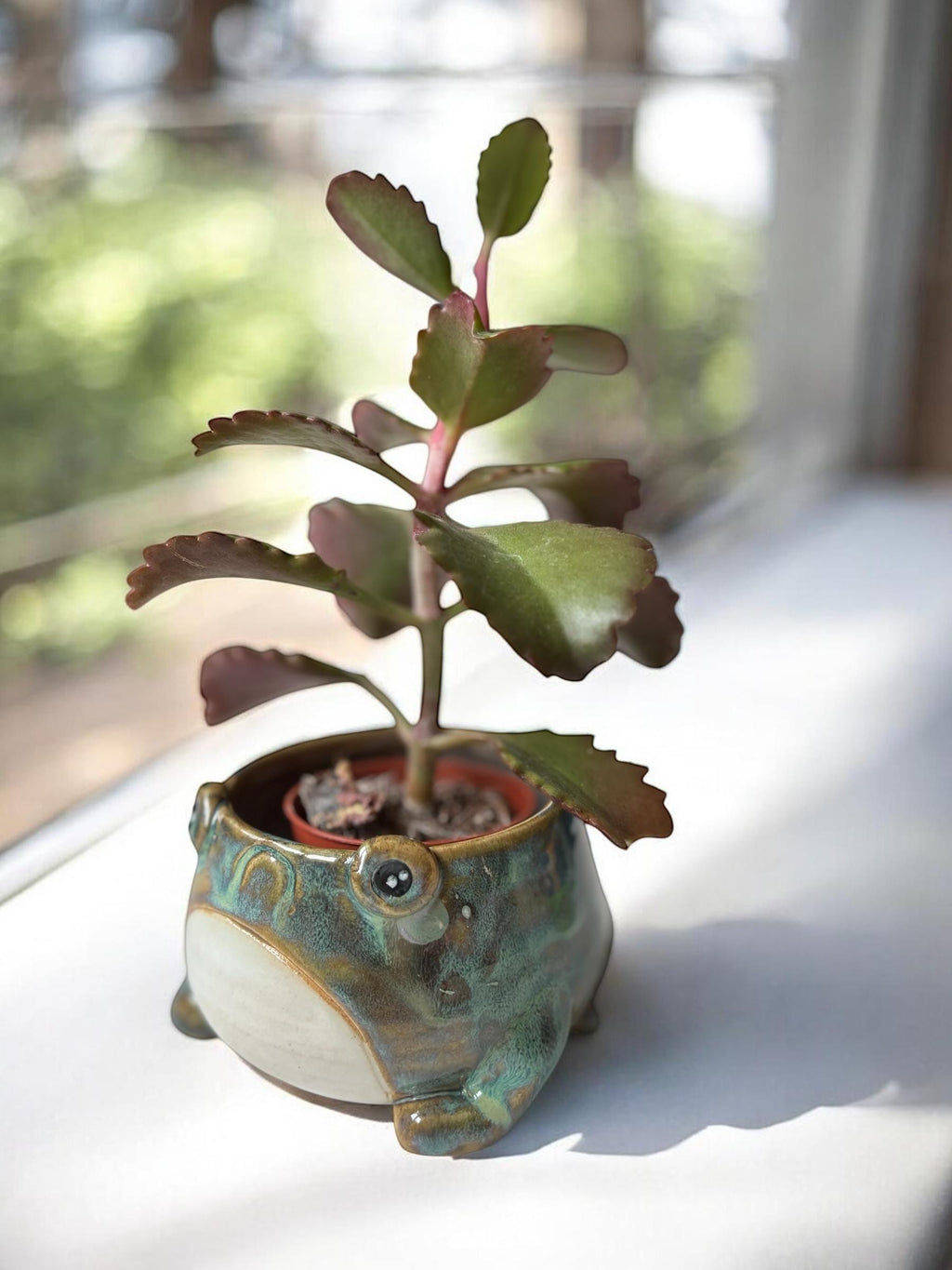 Cache-pot grenouille fait main – Pot de plante céramique artisanale – Cache-pot mignon pour succulente – Décoration intérieure originale