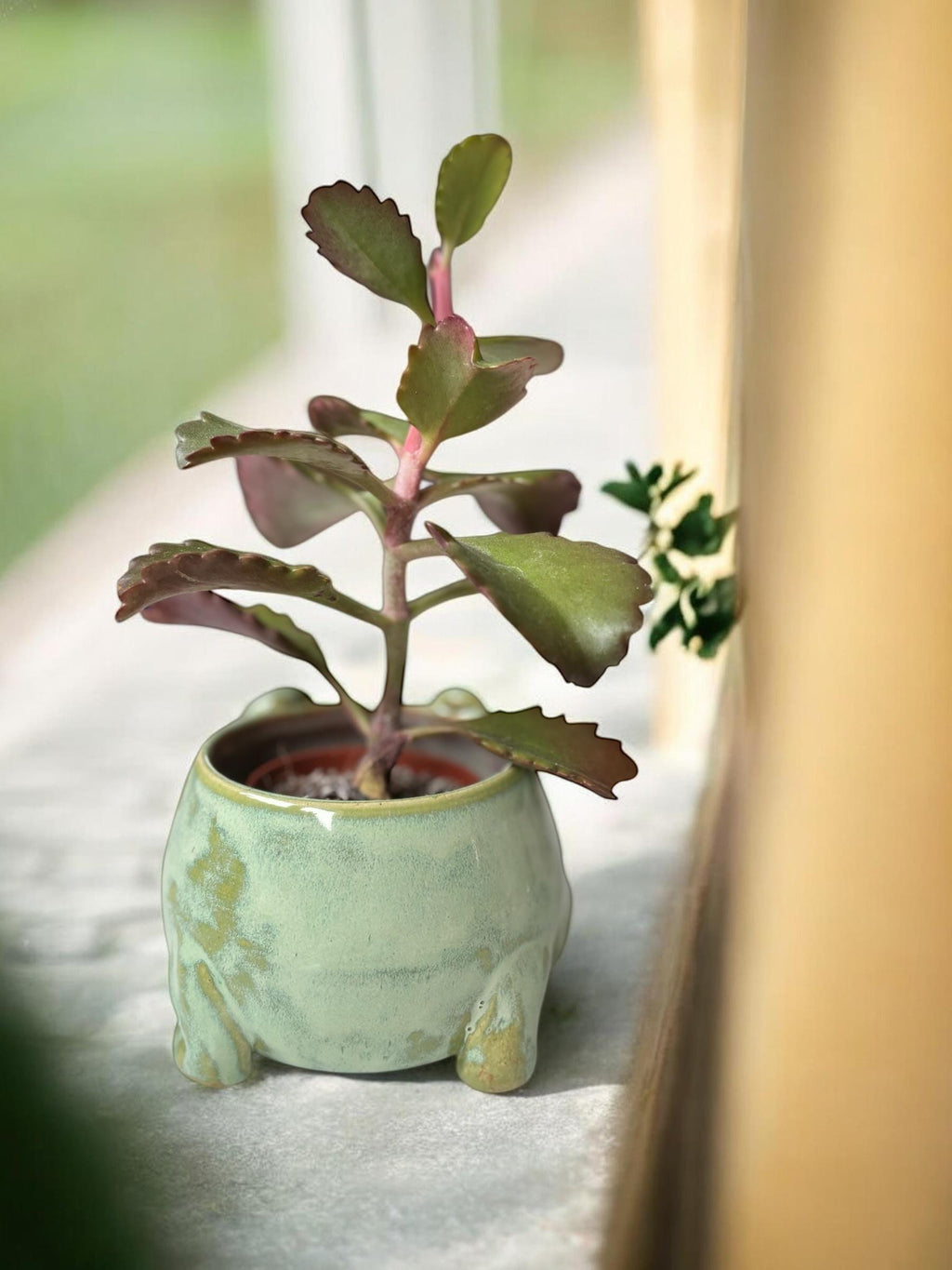 Cache-pot grenouille BOF fait main – Pot de plante céramique artisanale – Cache-pot mignon pour succulente – Décoration intérieure originale