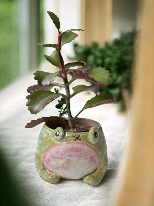 Cache-pot grenouille MOUAI fait main – Pot de plante céramique artisanale – Cache-pot mignon pour succulente – Décoration intérieure