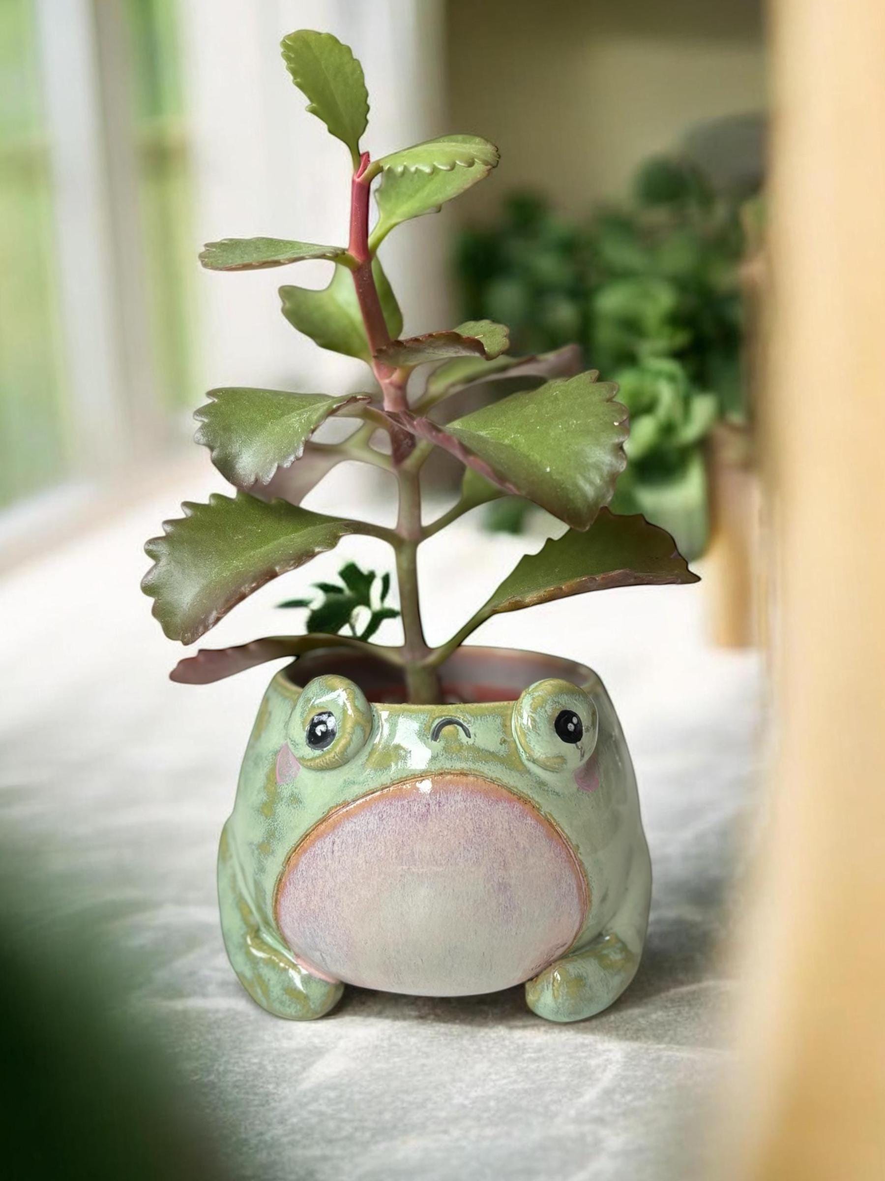 Cache-pot grenouille BOF fait main – Pot de plante céramique artisanale – Cache-pot mignon pour succulente – Décoration intérieure originale