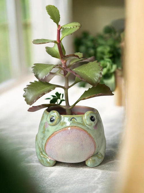 Cache-pot grenouille BOF fait main – Pot de plante céramique artisanale – Cache-pot mignon pour succulente – Décoration intérieure originale