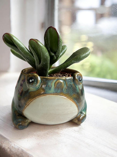 Cache-pot grenouille fait main – Pot de plante céramique artisanale – Cache-pot mignon pour succulente – Décoration intérieure originale