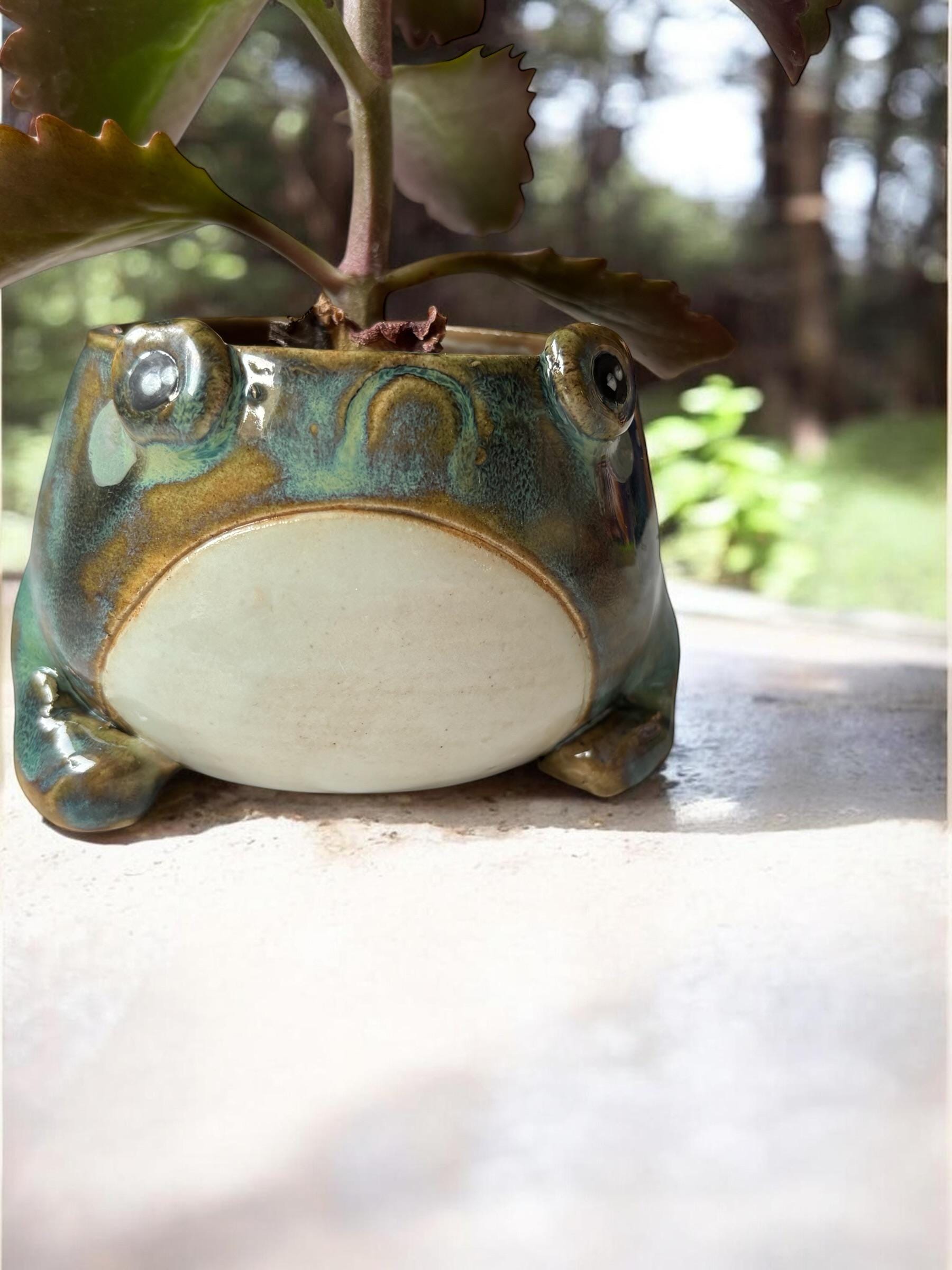 Cache-pot grenouille fait main – Pot de plante céramique artisanale – Cache-pot mignon pour succulente – Décoration intérieure originale