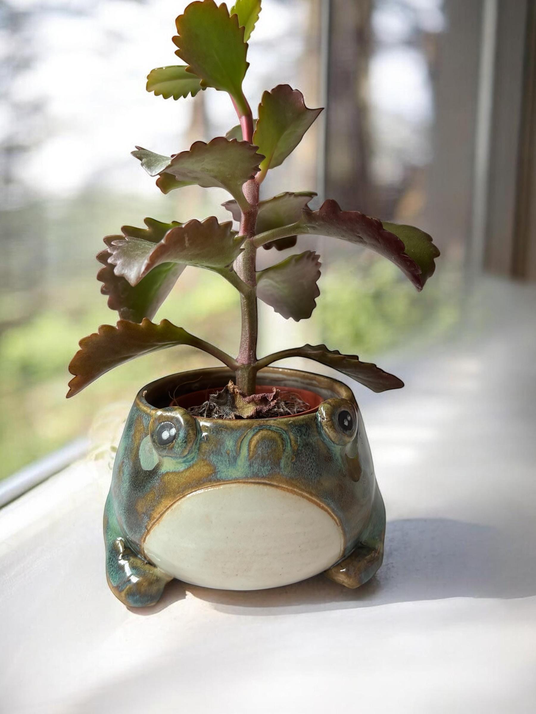 Cache-pot grenouille fait main – Pot de plante céramique artisanale – Cache-pot mignon pour succulente – Décoration intérieure originale