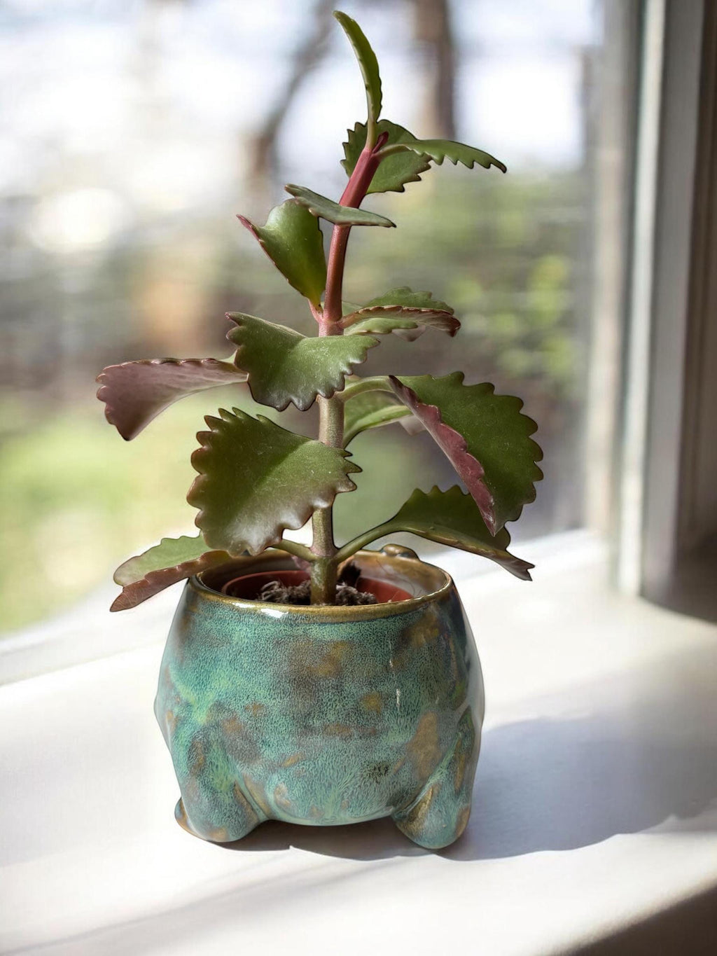 Cache-pot grenouille fait main – Pot de plante céramique artisanale – Cache-pot mignon pour succulente – Décoration intérieure originale
