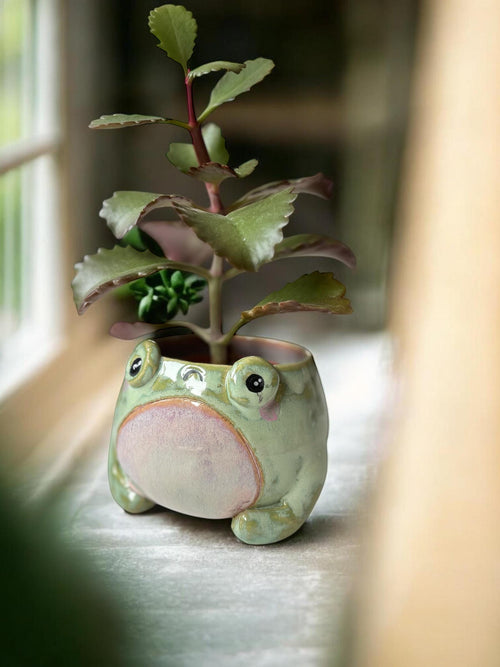 Cache-pot grenouille BOF fait main – Pot de plante céramique artisanale – Cache-pot mignon pour succulente – Décoration intérieure originale