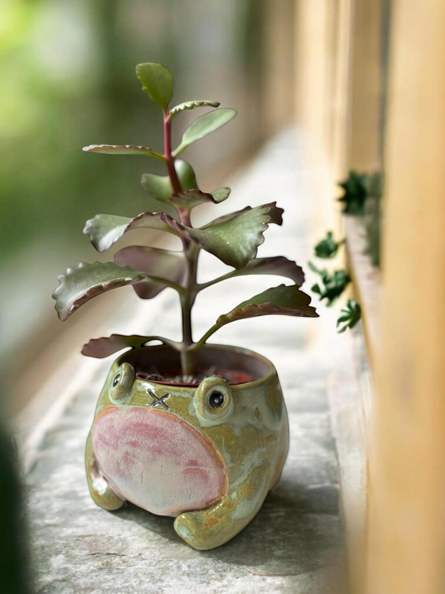 Cache-pot grenouille MOUAI fait main – Pot de plante céramique artisanale – Cache-pot mignon pour succulente – Décoration intérieure