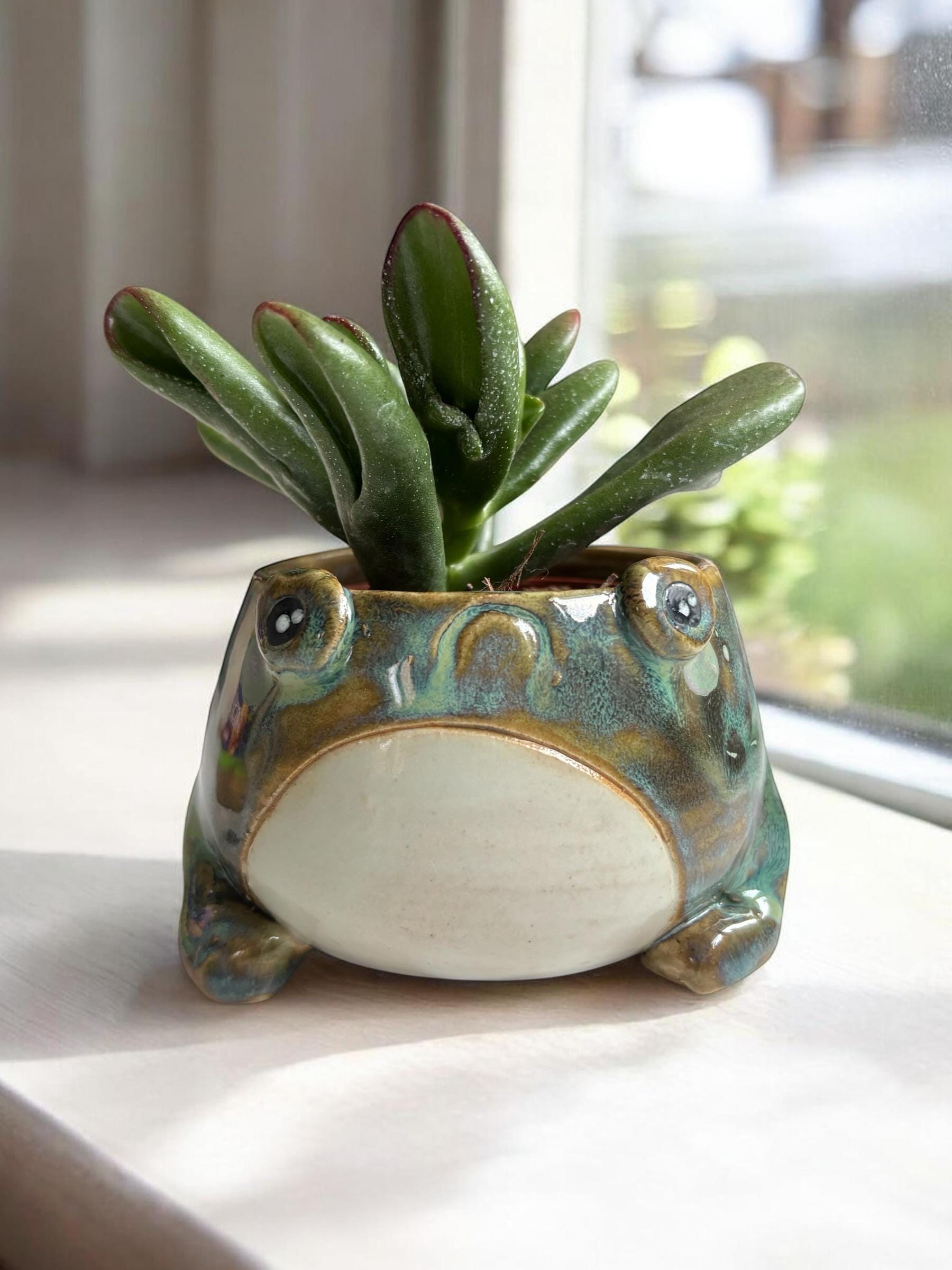 Cache-pot grenouille fait main – Pot de plante céramique artisanale – Cache-pot mignon pour succulente – Décoration intérieure originale